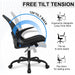 Ergonomic Mesh Office Chair with Adjustable Support