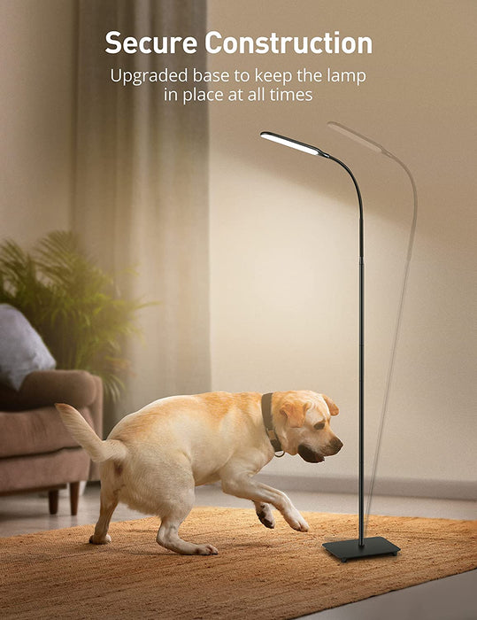 LED Floor Lamp with Adjustable Gooseneck