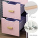 Pink Vanity Table Set with Mirror and Drawers