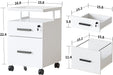 Lockable 2-Drawer Rolling File Cabinet for Home Office