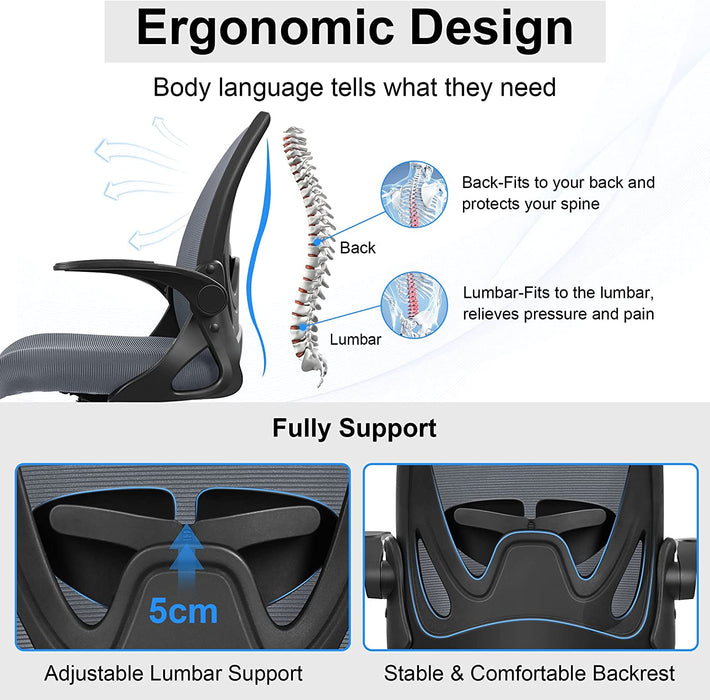 Adjustable Ergonomic Office Chair with Lumbar Support