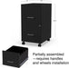 Secure Black 2-Drawer File Cabinet (Letter Size)