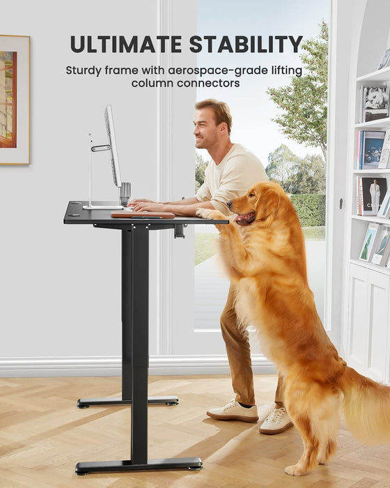 Adjustable Electric Standing Desk for Home Office
