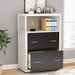 Modern 2-Drawer File Cabinet with Lock and Shelves