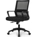 Ergonomic Mesh Office Chair with Lumbar Support