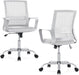 Ergonomic Grey Office Chair with Lumbar Support