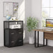 Modern Black File Cabinet with Lock and Shelves