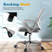 Grey Ergonomic Home Office Chair with Lumbar Support