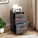 Rustic Wood File Cabinet with Rolling Drawers