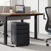 Mobile File Cabinet for Office Desk, Black