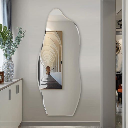 Irregular Wall Mirror Asymmetrical Accent Wall Mounted Mirror 19.6 X 47 Inch for Living Room Bathroom Entryway, Dolphin Type