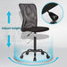 Affordable Ergonomic Mesh Office Chair with Back Support