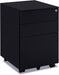 Locking Metal File Cabinet for Home/Office (Black)