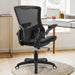 Ergonomic Adjustable Office Chair with Lumbar Support