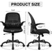 Ergonomic Mesh Office Chair with Adjustable Support