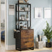 Lockable File Cabinet with Adjustable Storage Shelf