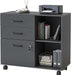 Black Mobile File Cabinet with Printer Stand