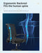 Ergonomic Swivel Chair with Lumbar Support