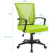 Cyan Ergonomic Office Chair with Armrests