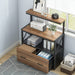 Modern File Cabinet with Printer Stand and Shelves