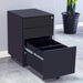 Locking Metal File Cabinet for Home/Office (Black)