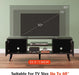 Modern Charcoal TV Stand with Storage Cabinets