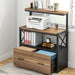 Modern File Cabinet with Printer Stand and Shelves