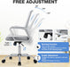 Ergonomic Grey Office Chair with Lumbar Support