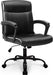 Ergonomic Office Chair with Lumbar Support