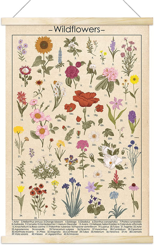 Colorful Vintage Wildflower Botanical Wall Art Poster