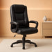 Ergonomic Executive Chair with Lumbar Support