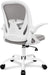 Adjustable Ergonomic Office Chair with Lumbar Support