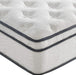 Full Size Memory Foam Mattress with Coils