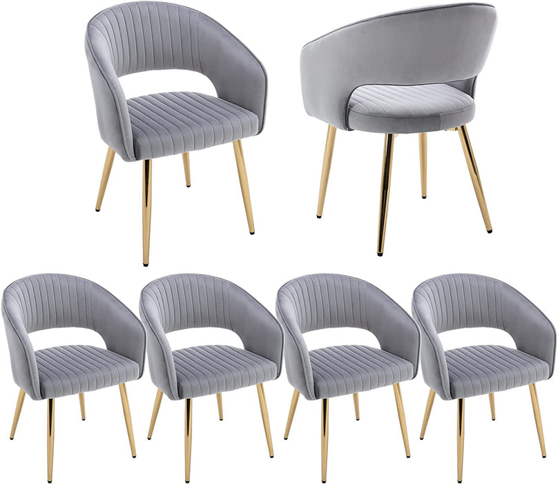 Grey Gold Dining Chairs Set of 6, Velvet