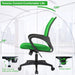 Ergonomic Green Office Chair with Lumbar Support