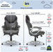 Ergonomic High-Back Executive Chair for Health and Wellness