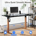 Height Adjustable Electric Standing Desk with Memory Preset