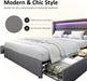 Queen Bed Frame with LED Lights and Storage