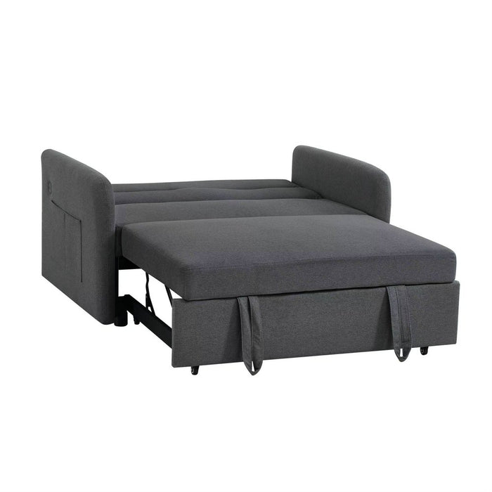 Gray Loveseat Sofa with Pull-Out Bed