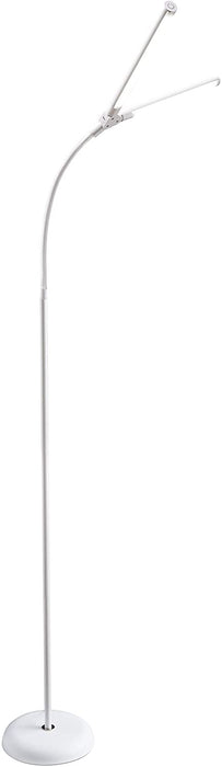 Duo LED Floor Lamp with Anti-Glare Feature
