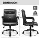 Ergonomic Office Chair with Lumbar Support