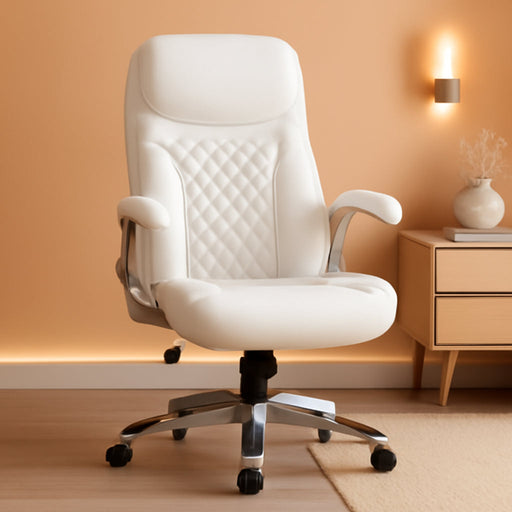 Nouhaus Ergonomic Office Chair with Lumbar Support