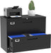 Black 2-Drawer Cabinet with Lock for Home Office