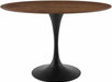 Lippa Mid-Century Modern Oval Walnut Dining Table