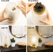 Battery-Operated Glass Lamp with Timer