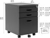 Mobile File Cabinet with 3 Lock Drawers