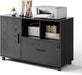 Black 1-Drawer File Cabinet on Wheels