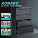 Lockable 4-Drawer Metal File Cabinet for Office/Home