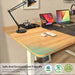 Ergonomic Electric Standing Desk with Memory Preset