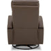 Chocolate Swivel Glider Rocker Recliner with USB Charge